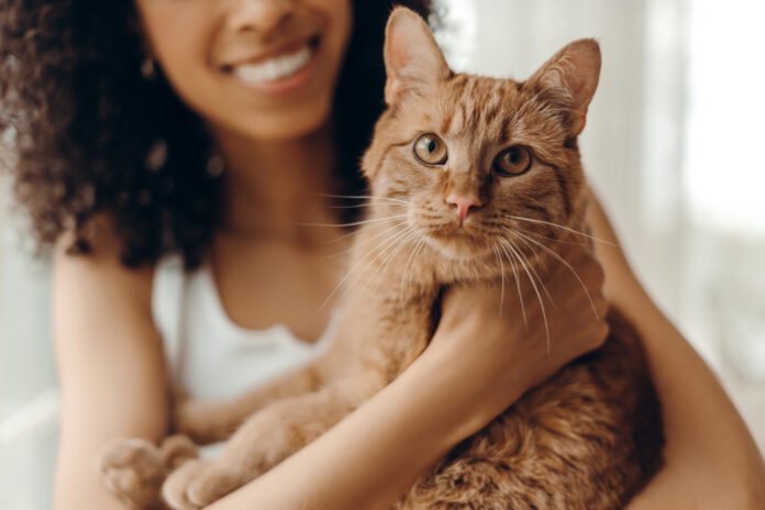 ¿El ronroneo de los gatos puede beneficiar nuestra salud?